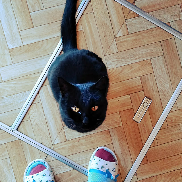 hiroさんの実例写真