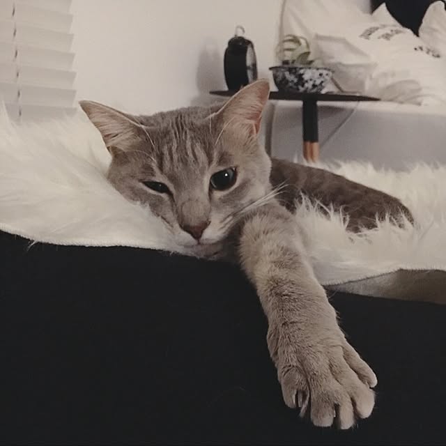 nxkyさんの実例写真