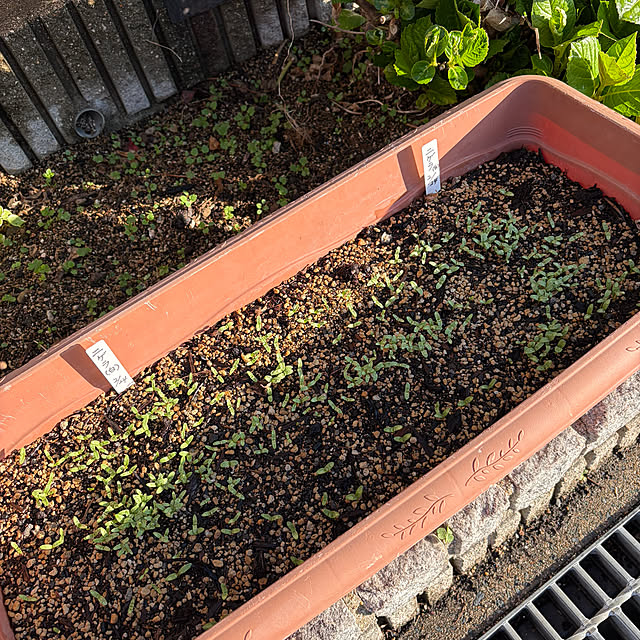 ritsukoさんの部屋