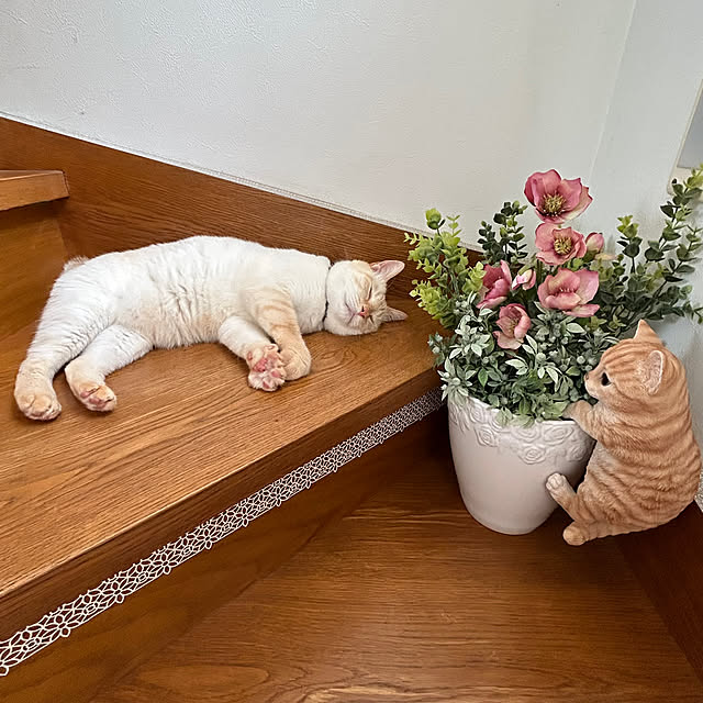 milkさんの部屋