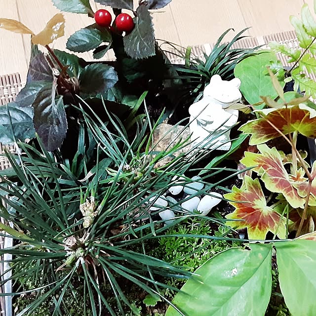 katさんの部屋