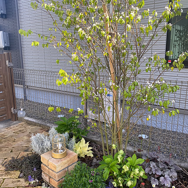 bell.kloさんの部屋