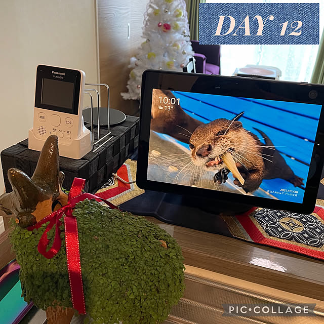 aureaさんの実例写真