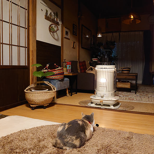 fukuさんの実例写真
