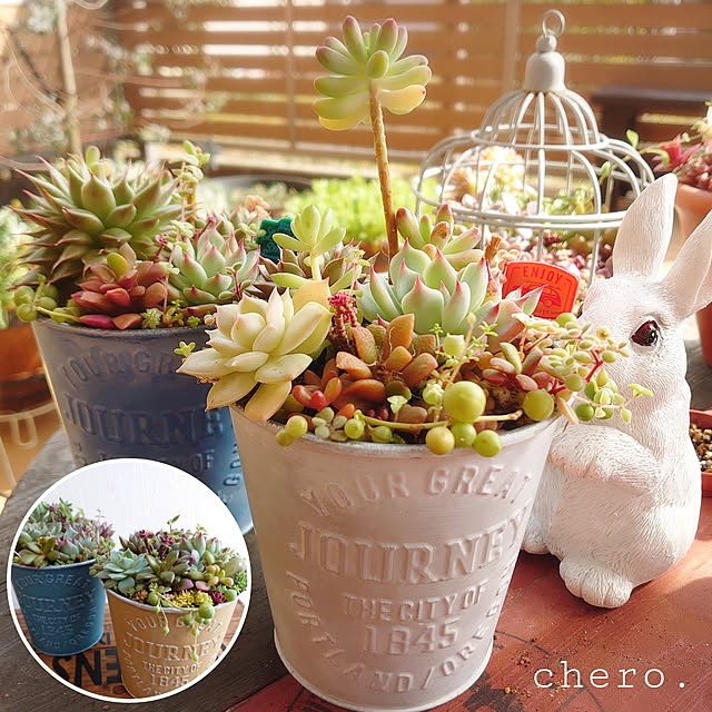 chero.さんの実例写真