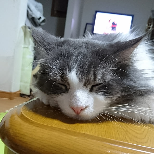 shinobuさんの実例写真
