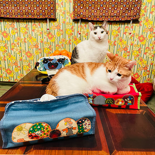 meさんの実例写真