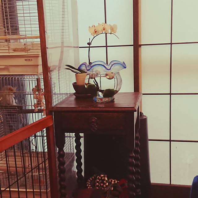 MIUOOさんの実例写真