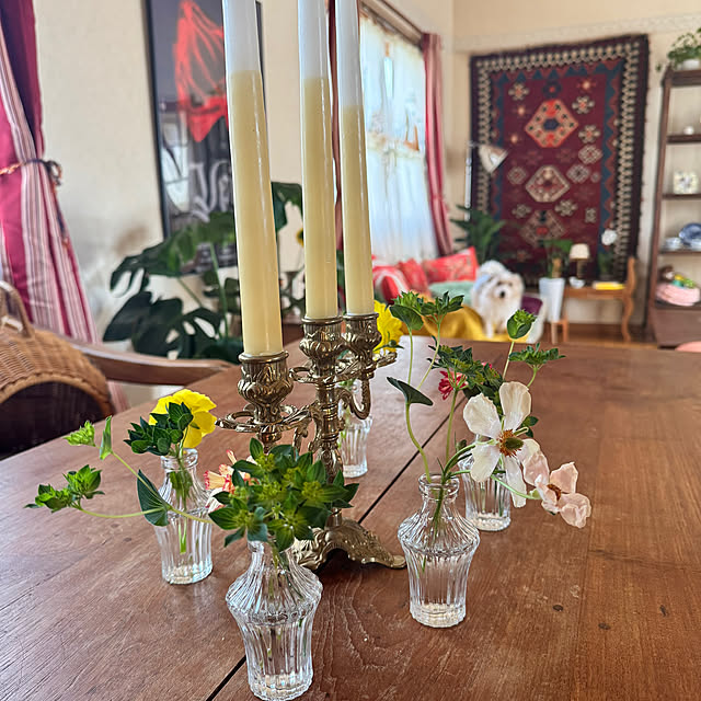 uzuraさんの実例写真