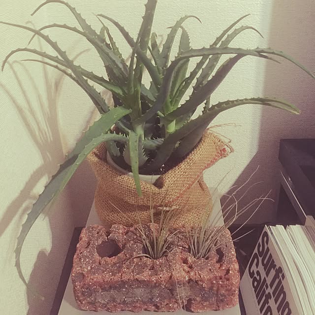 SHotaさんの実例写真