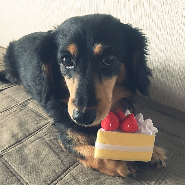 ohanaさんの実例写真