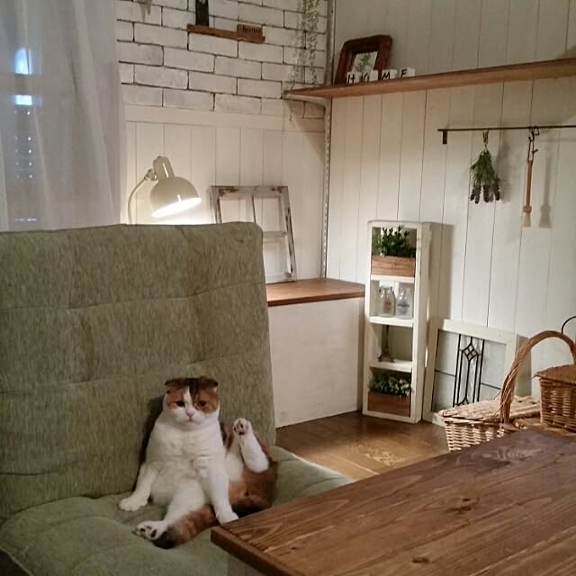 mikiさんの実例写真
