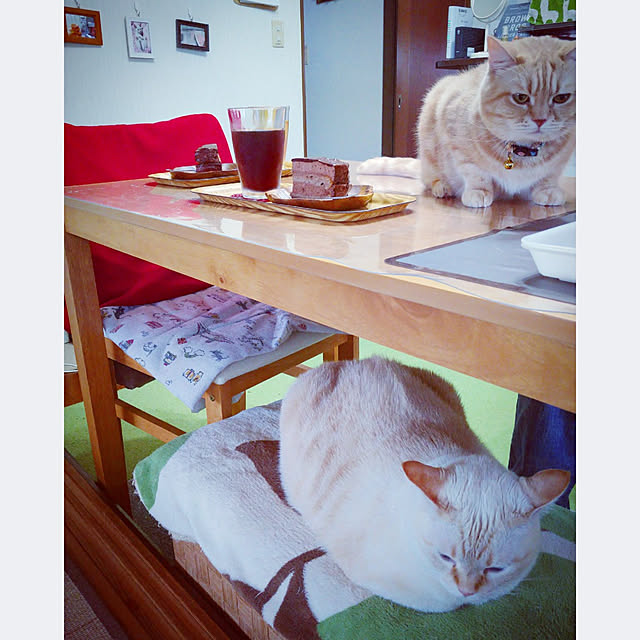 mntcさんの実例写真