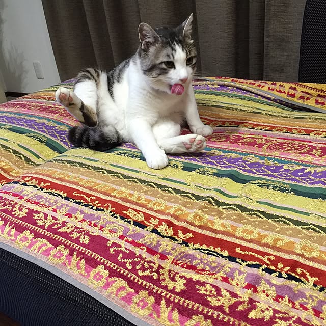 cherryさんの実例写真