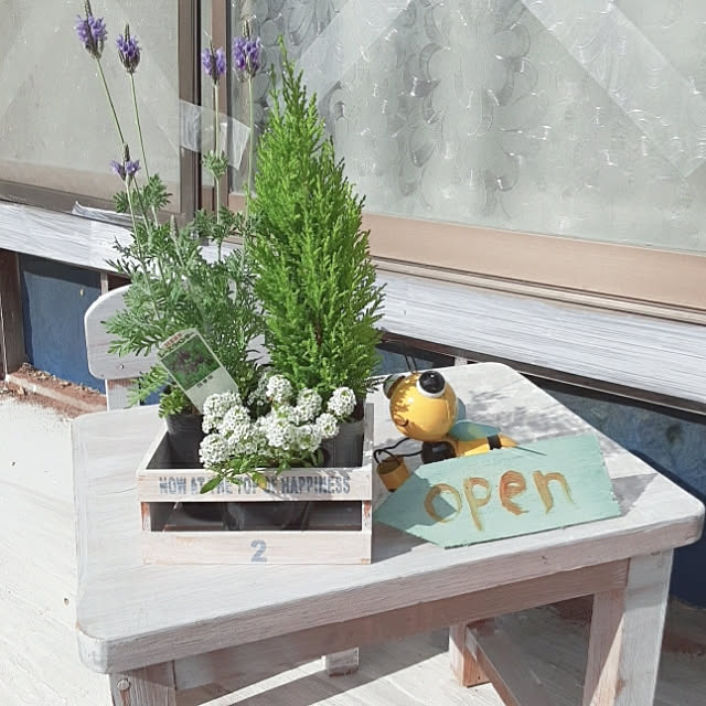 mujiさんの部屋