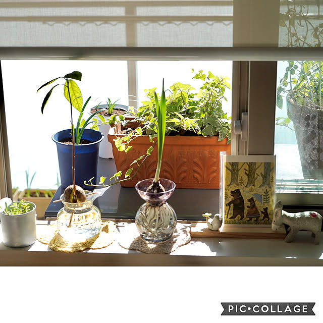 ponme33さんの実例写真