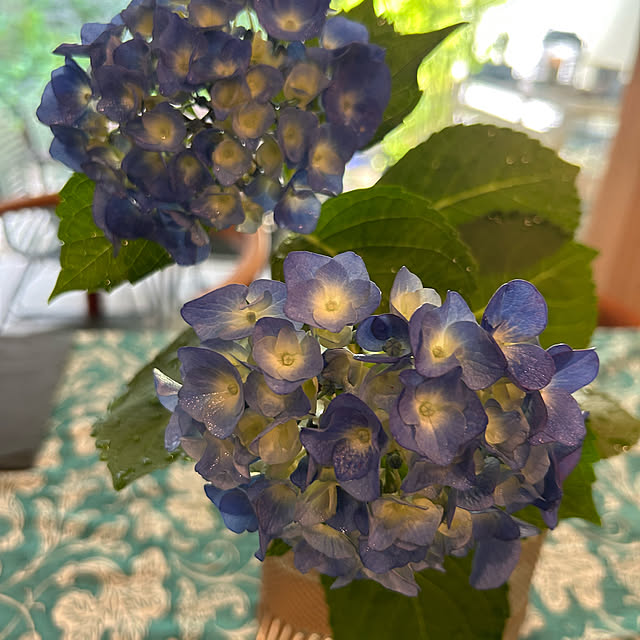 happy-sachiさんの部屋