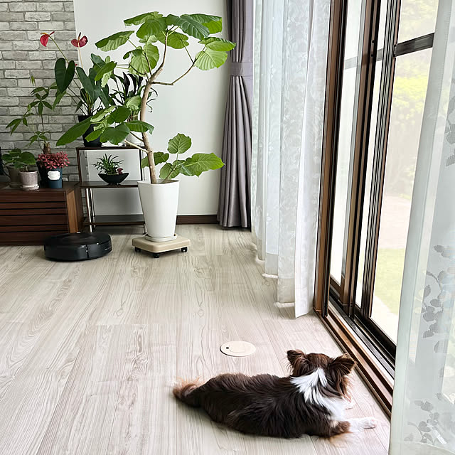 Hannahさんの実例写真