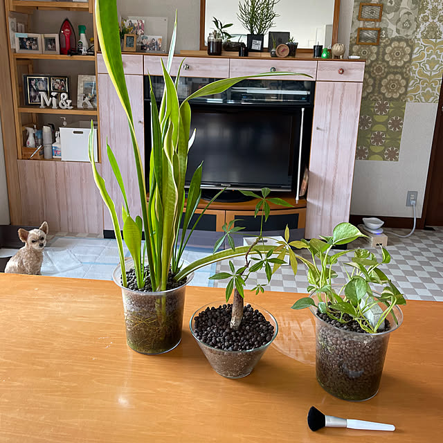 kikiさんの部屋