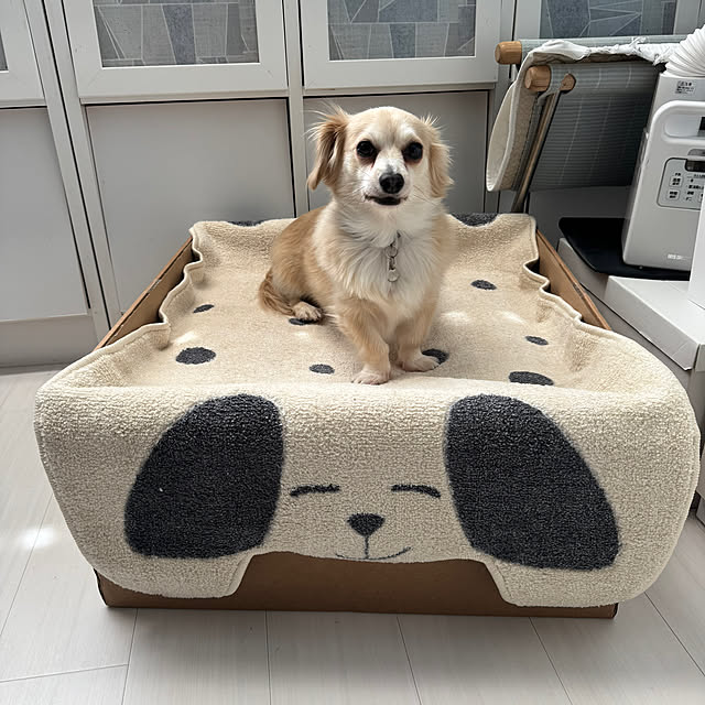 Rainyさんの実例写真