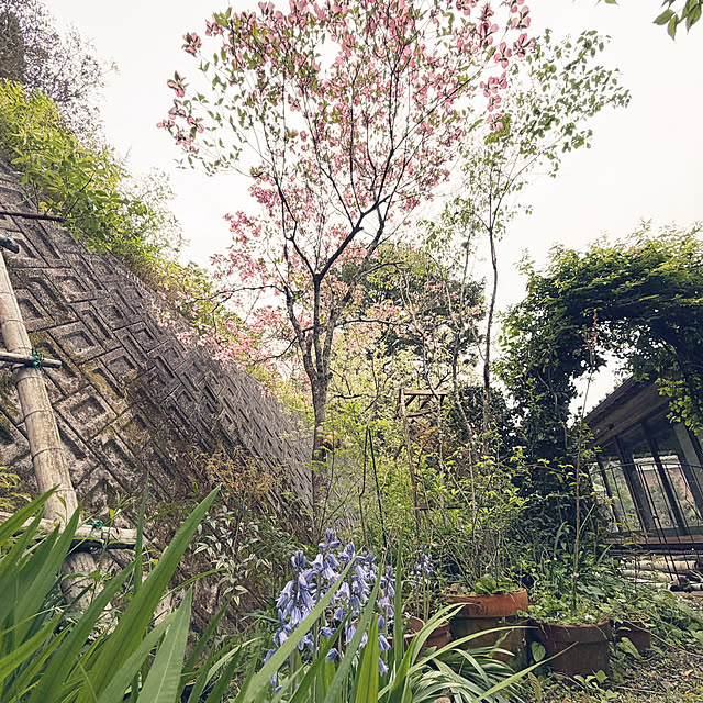 cotaさんの実例写真