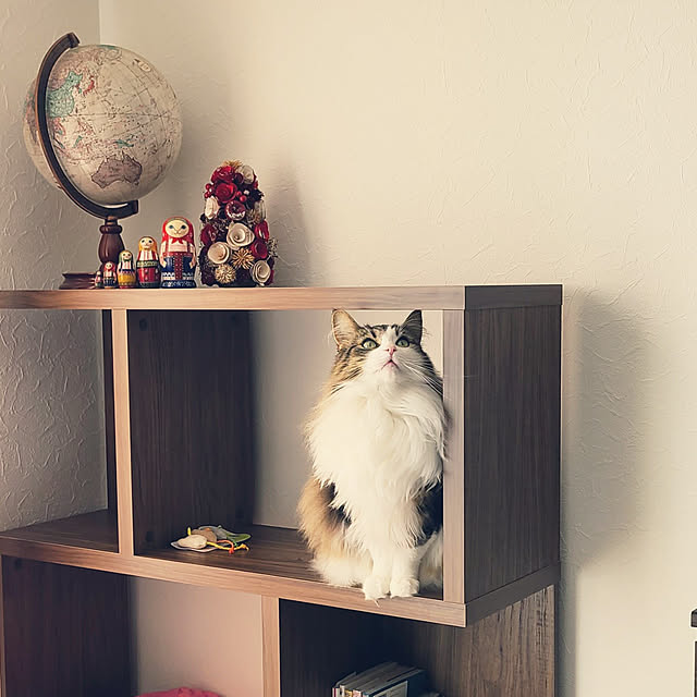 akiko6193さんの実例写真