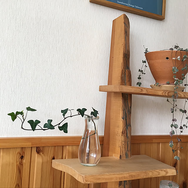 ivoryさんの実例写真