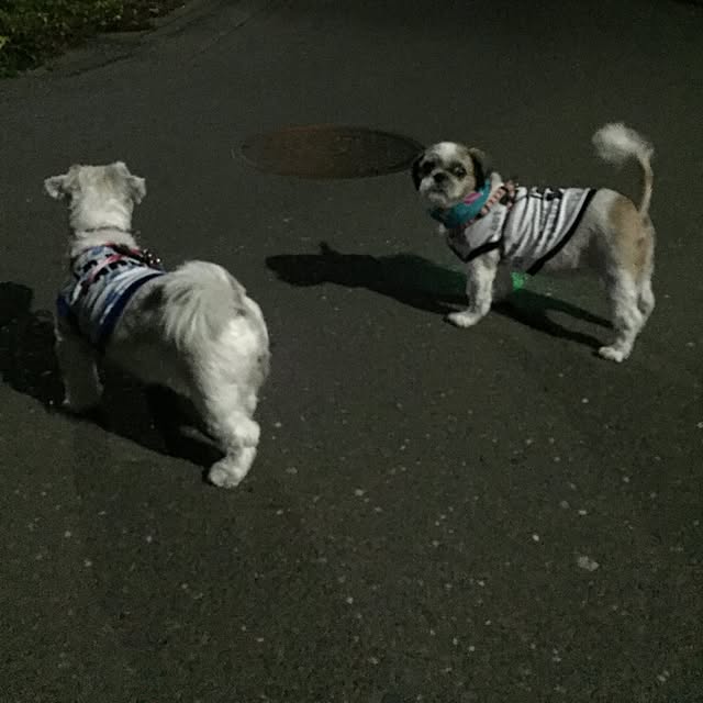 emiさんの実例写真