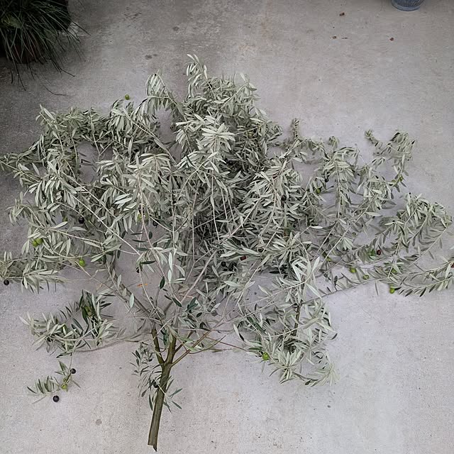 mori_6_12さんの部屋