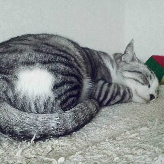 mntcさんの実例写真