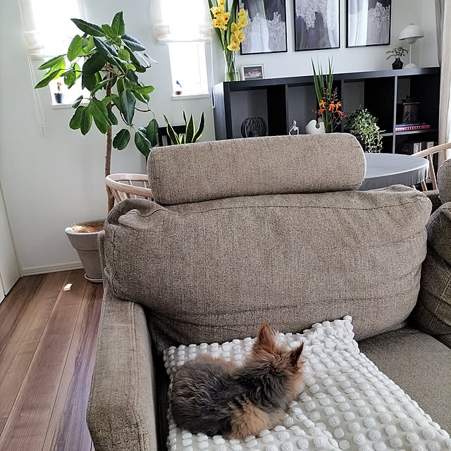 coco0.84.さんの部屋