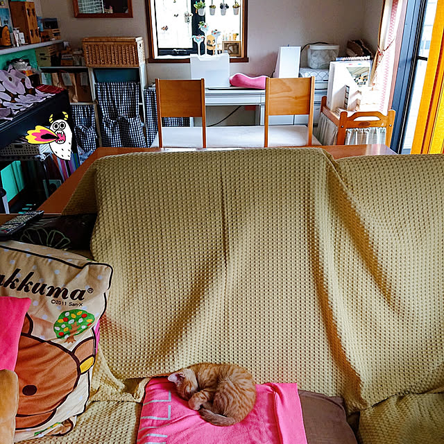 kikiさんの実例写真