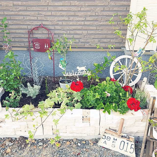 megu.catさんの実例写真