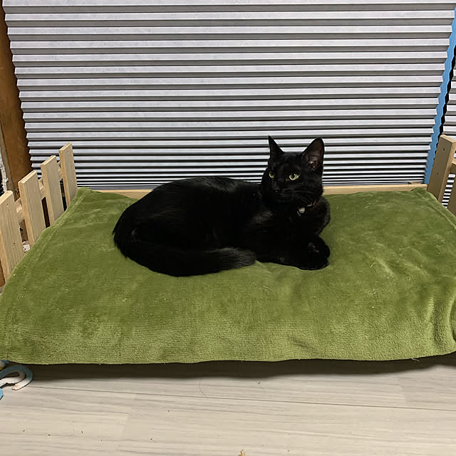 akisakaさんの実例写真