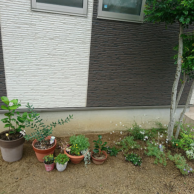 sjymaさんの実例写真