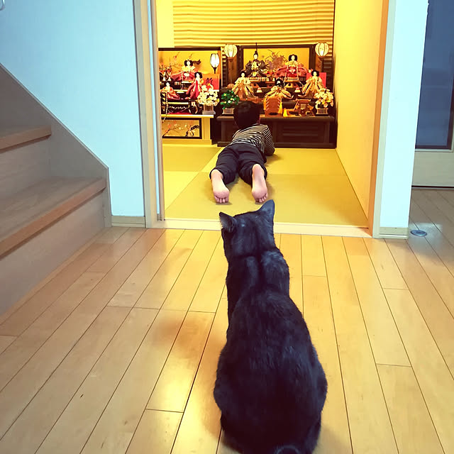 guriさんの実例写真