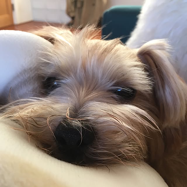 Bunさんの実例写真