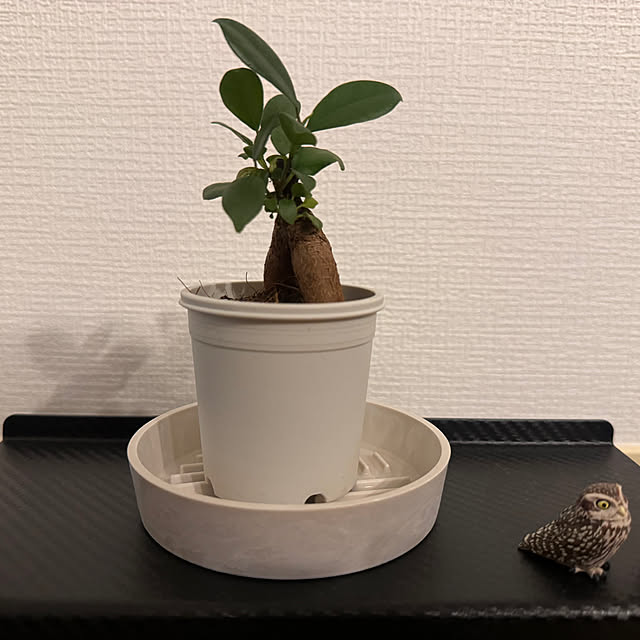 Jsanさんの実例写真
