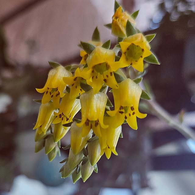 mocomocoさんの部屋