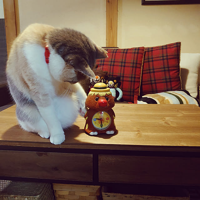 fukuさんの実例写真
