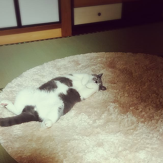 rhuさんの実例写真