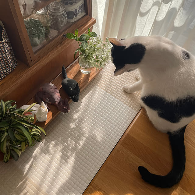 nobikoさんの実例写真