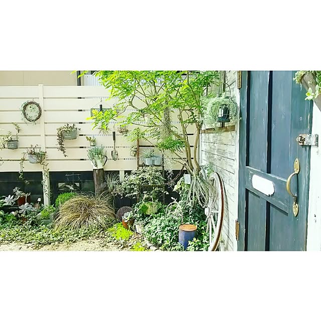 mai.tameさんの実例写真