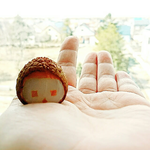 mamimamipockyさんの実例写真