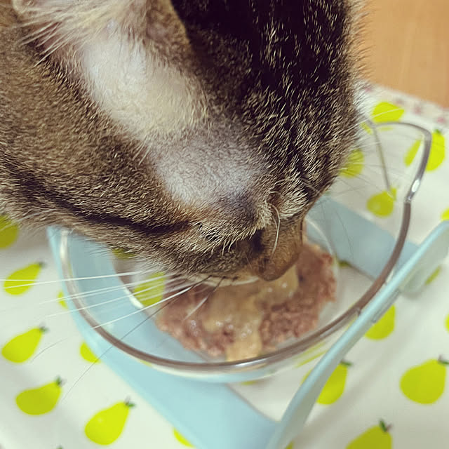 kittenblueさんの実例写真