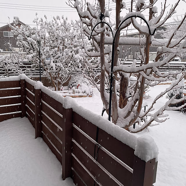 ronronさんの実例写真