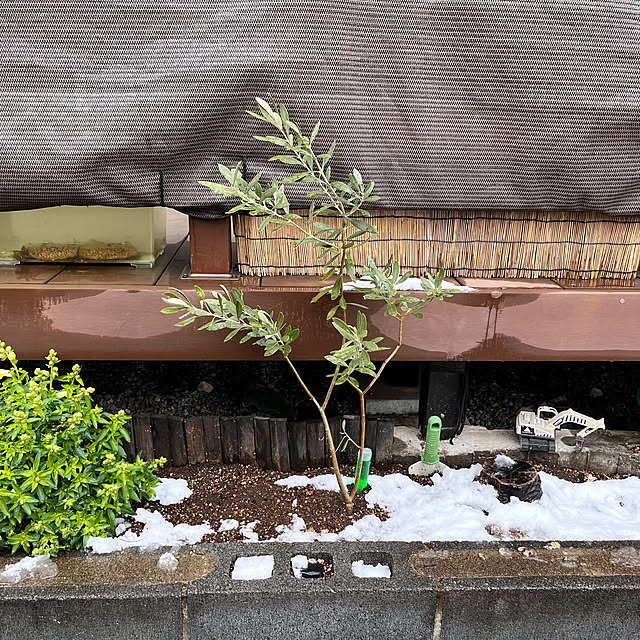 hanihaniさんの部屋