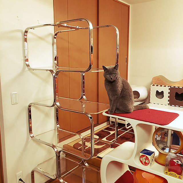 ikettenさんの実例写真