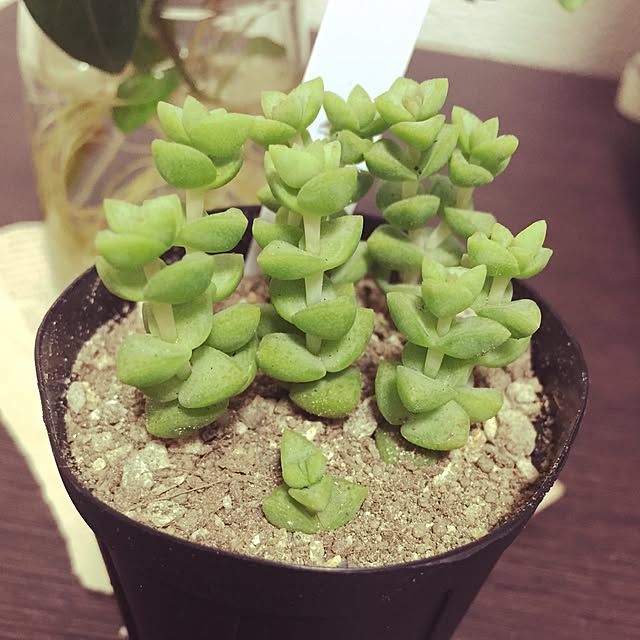ethicsさんの実例写真