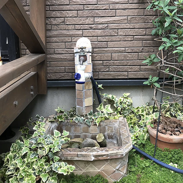 gin_mamaさんの実例写真